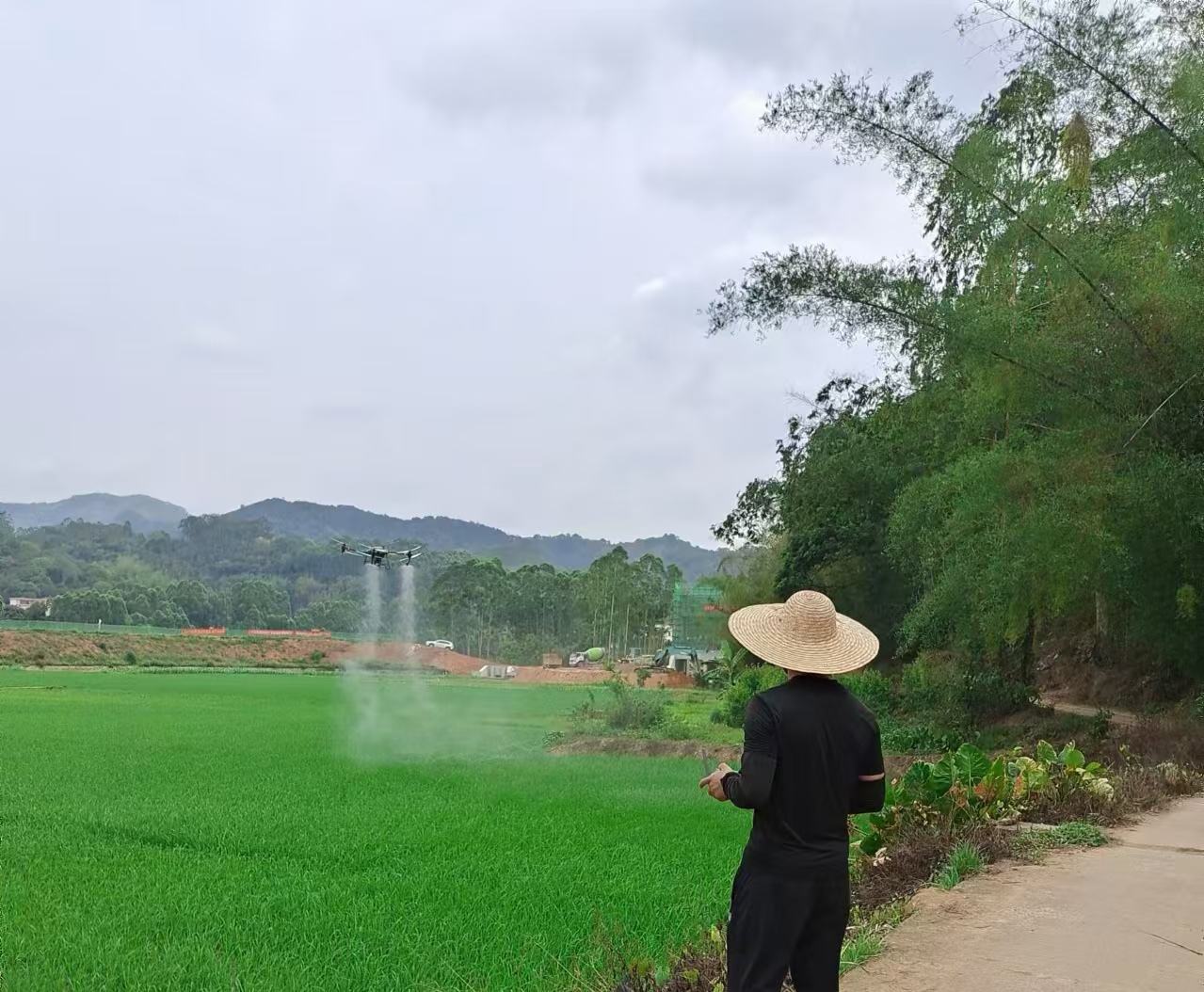 謝桂權(quán)開展無人機(jī)植保.jpg